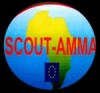Scout AMMA logo